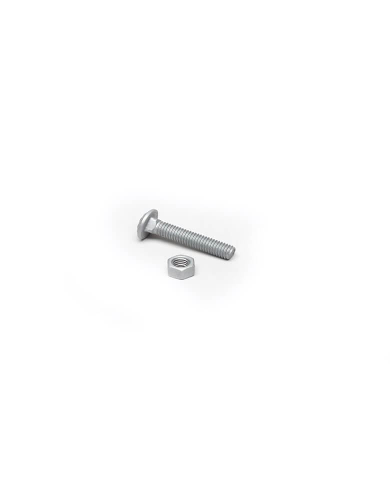 1/4" Galvanized Carriage Bolts