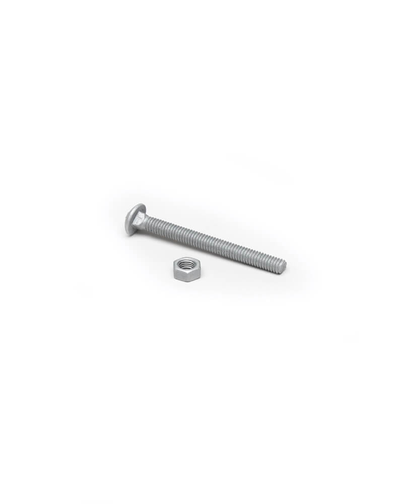 1/4" Galvanized Carriage Bolts