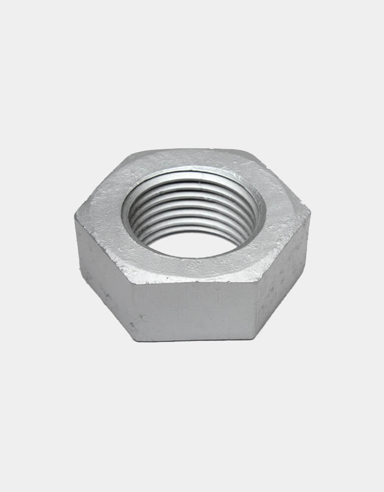Galvanized Hex Nut
