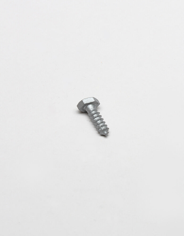 1/4"  Galvanized Lag Bolts
