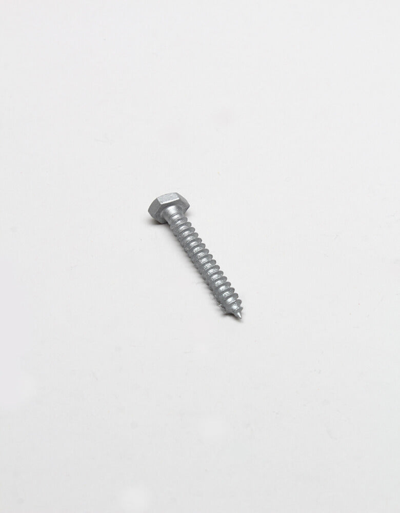 1/4"  Galvanized Lag Bolts
