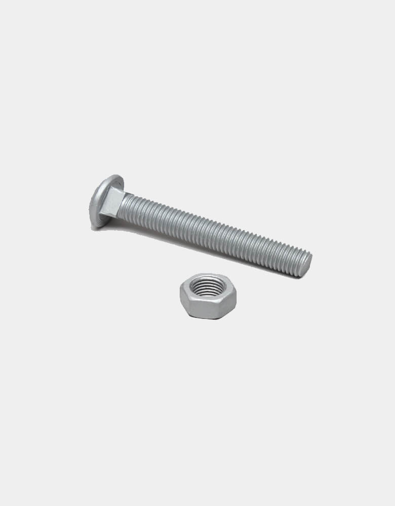 3/4" Galvanized Carriage Bolts