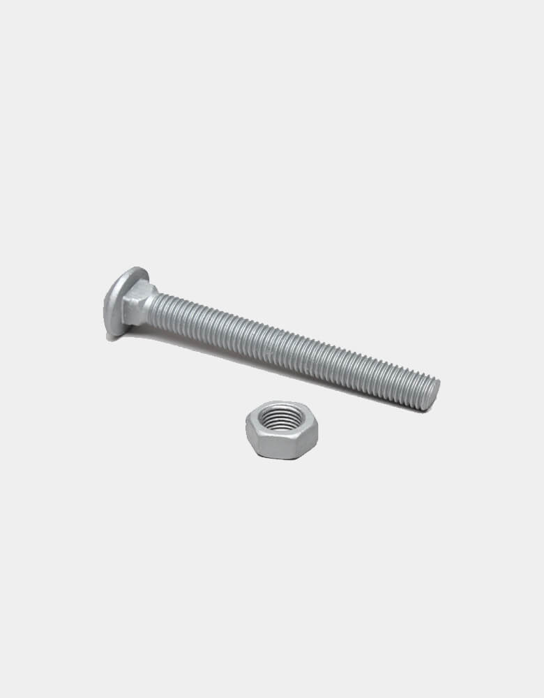 3/4" Galvanized Carriage Bolts