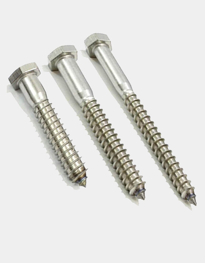 316 Stainless Steel Lag Bolts